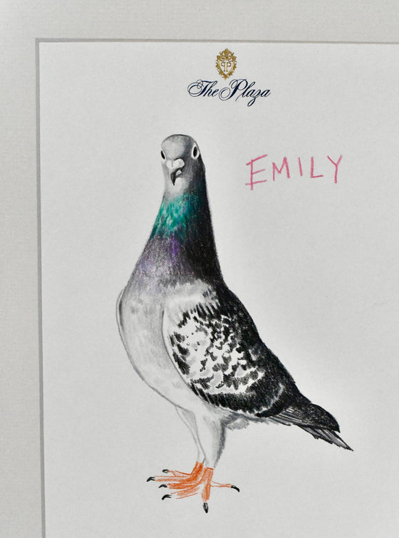 Emily the Pigeon