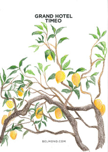  "Lemon Trees"