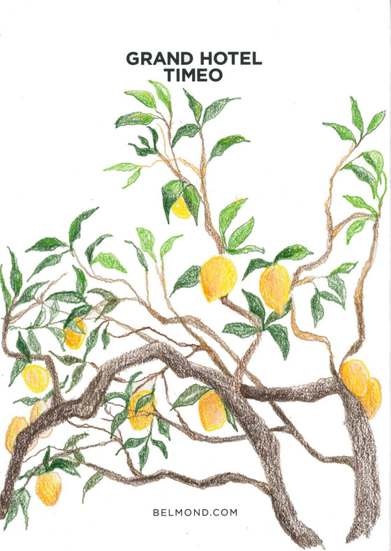 "Lemon Trees" My Father's Daughter Designs